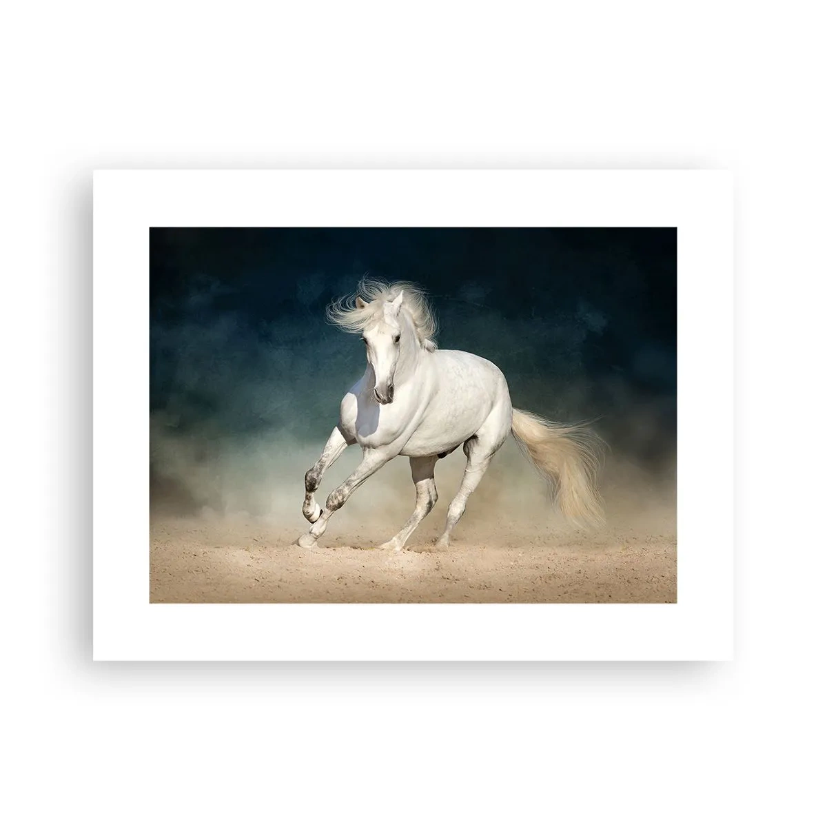 Poster - Vrijheid in zijn pure staat - 40x30 cm