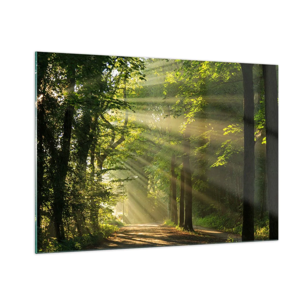 Schilderen op glas - Bosmoment - 100x70 cm