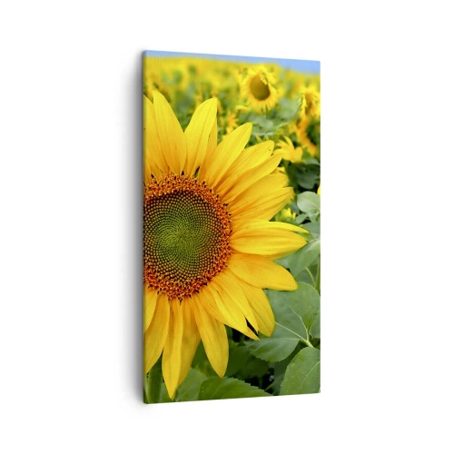 Schilderen op canvas - Honderden zonnen vlamden op - 45x80 cm