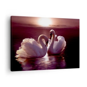 Schilderen op canvas - Twee zwanen op een kalm meer bij zonsondergang - 70x50cm - Tot de dood ons scheidt - Moderne wanddecoratie voor woonkamer en slaapkamer ARTTOR