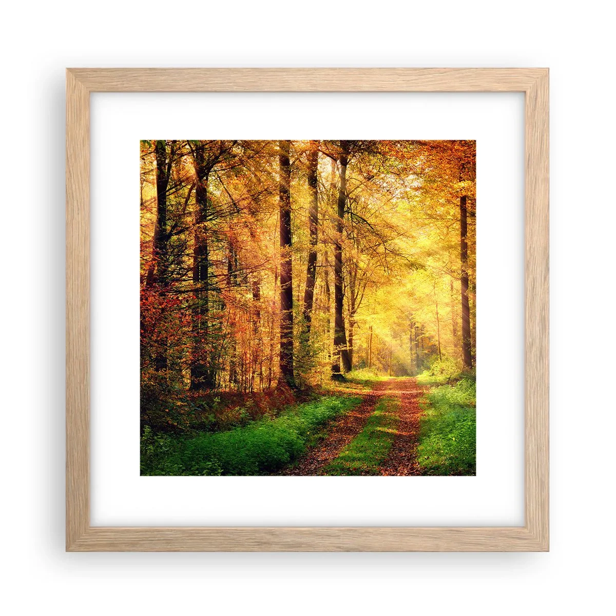 Een poster in een licht eiken lijst - Bos-gouden stilte - 30x30 cm