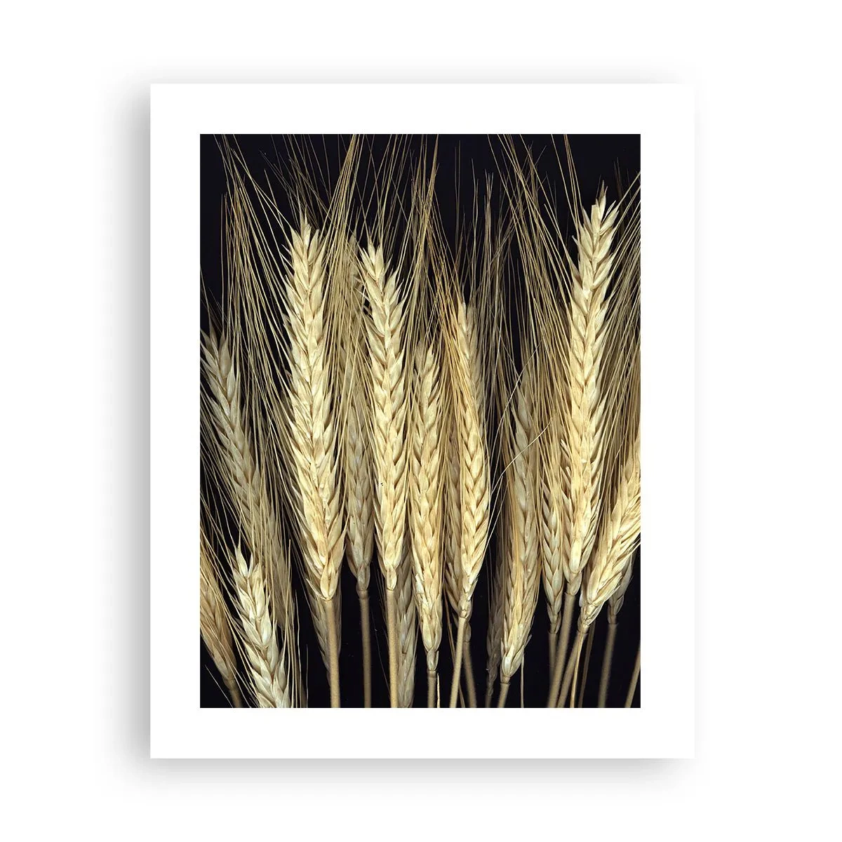 Poster - Rustieke magie - 40x50 cm