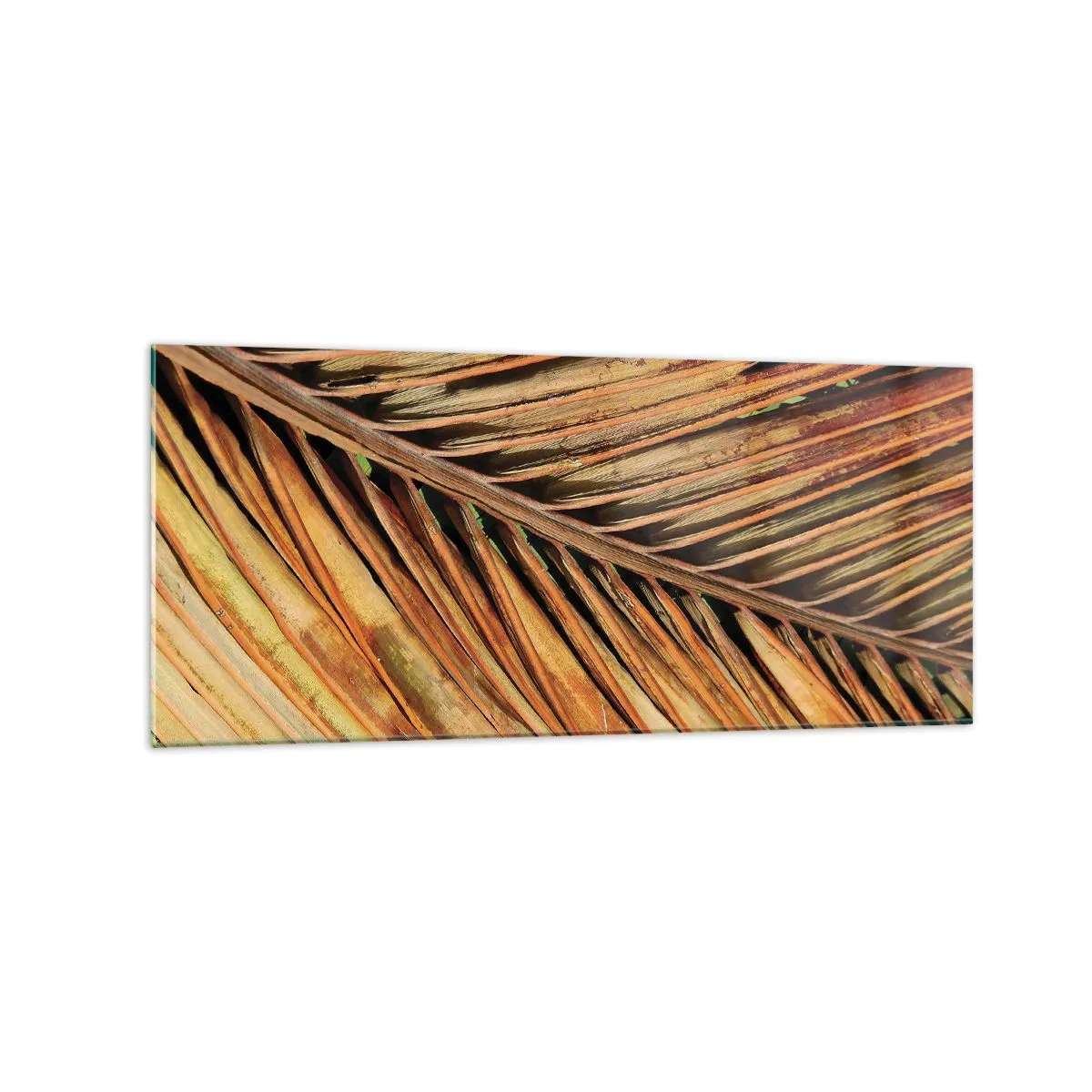 Schilderen op glas - Kokos goud - 120x50 cm