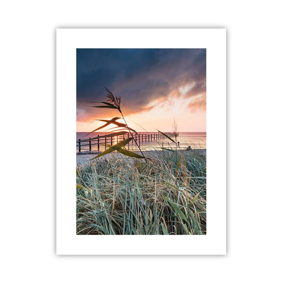 Poster - Het gaat niet met de wind mee - 30x40 cm
