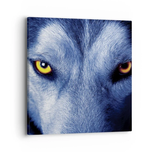Schilderen op canvas - Betoverende look - 40x40 cm