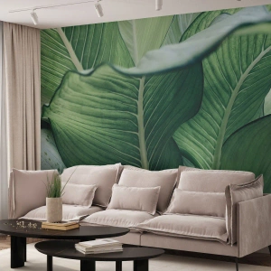 Fotobehang op maat Premium Sand - Intens groen leven - Bladeren, Exotisch, Botanisch