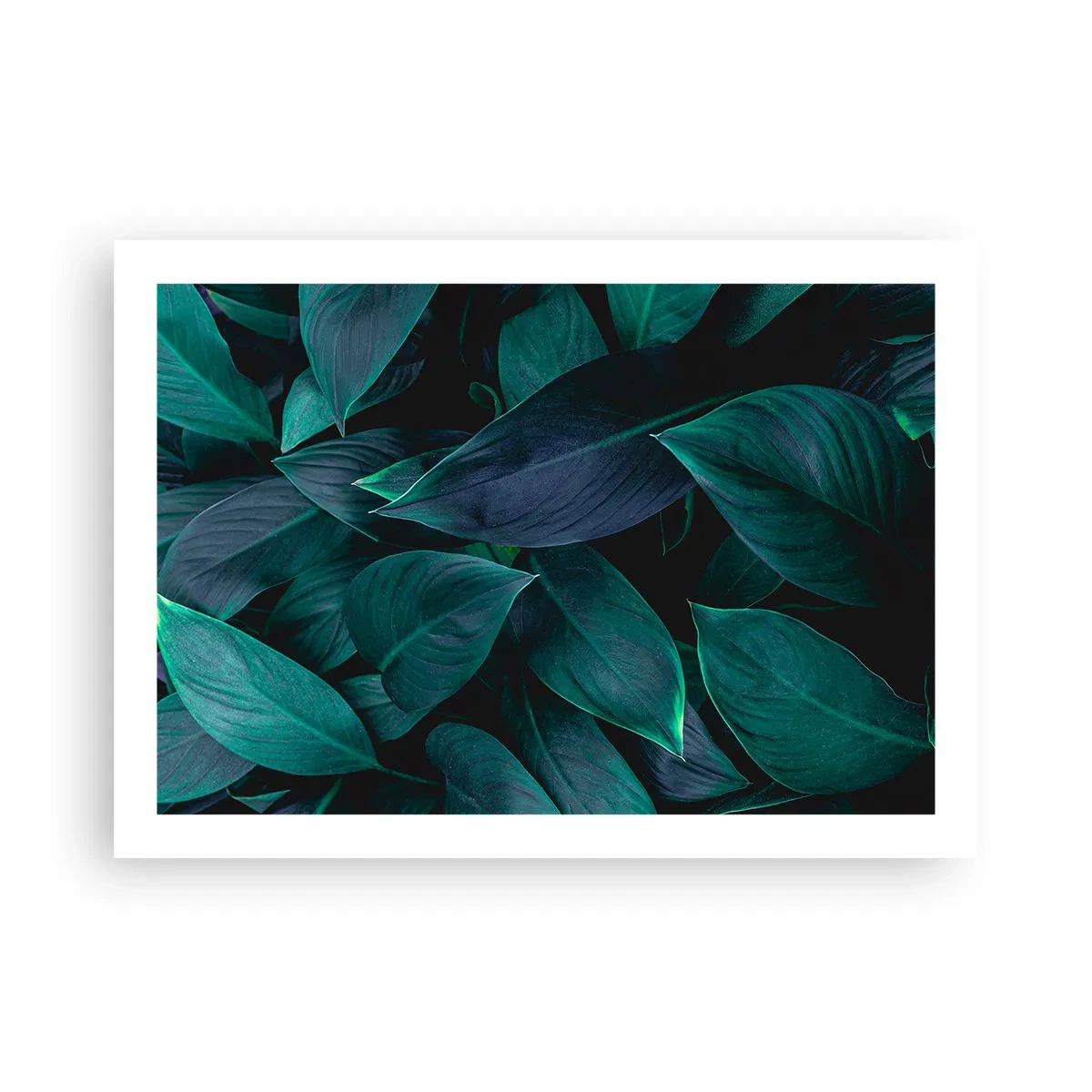 Poster - Groen op zichzelf - 70x50 cm