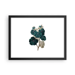 Poster in een zwarte lijst - Uit het oude herbarium - 40x30 cm