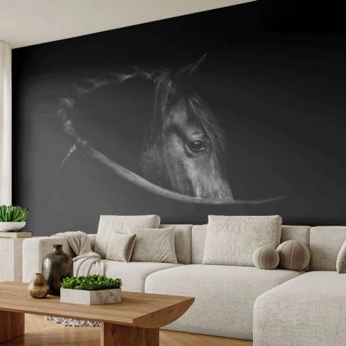 Fotobehang Premium Canvas - Zwarte Prins - Paard, Dier, Artistiek - 500x350 cm