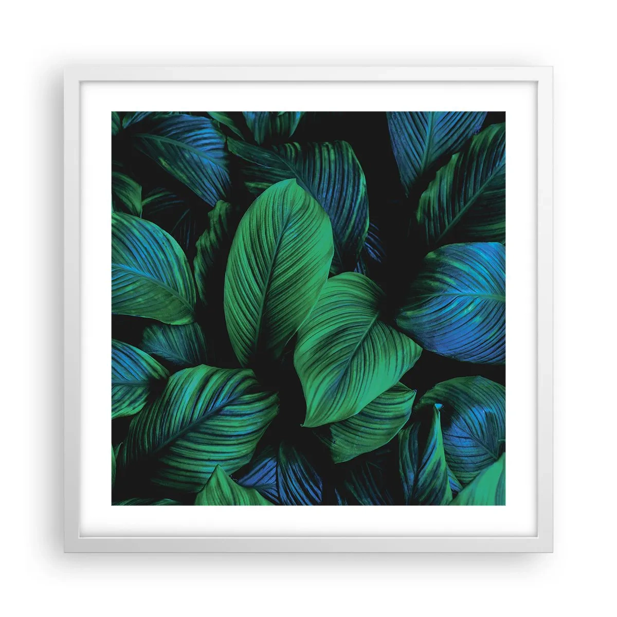 Poster in een witte lijst - In de groene menigte - 50x50 cm