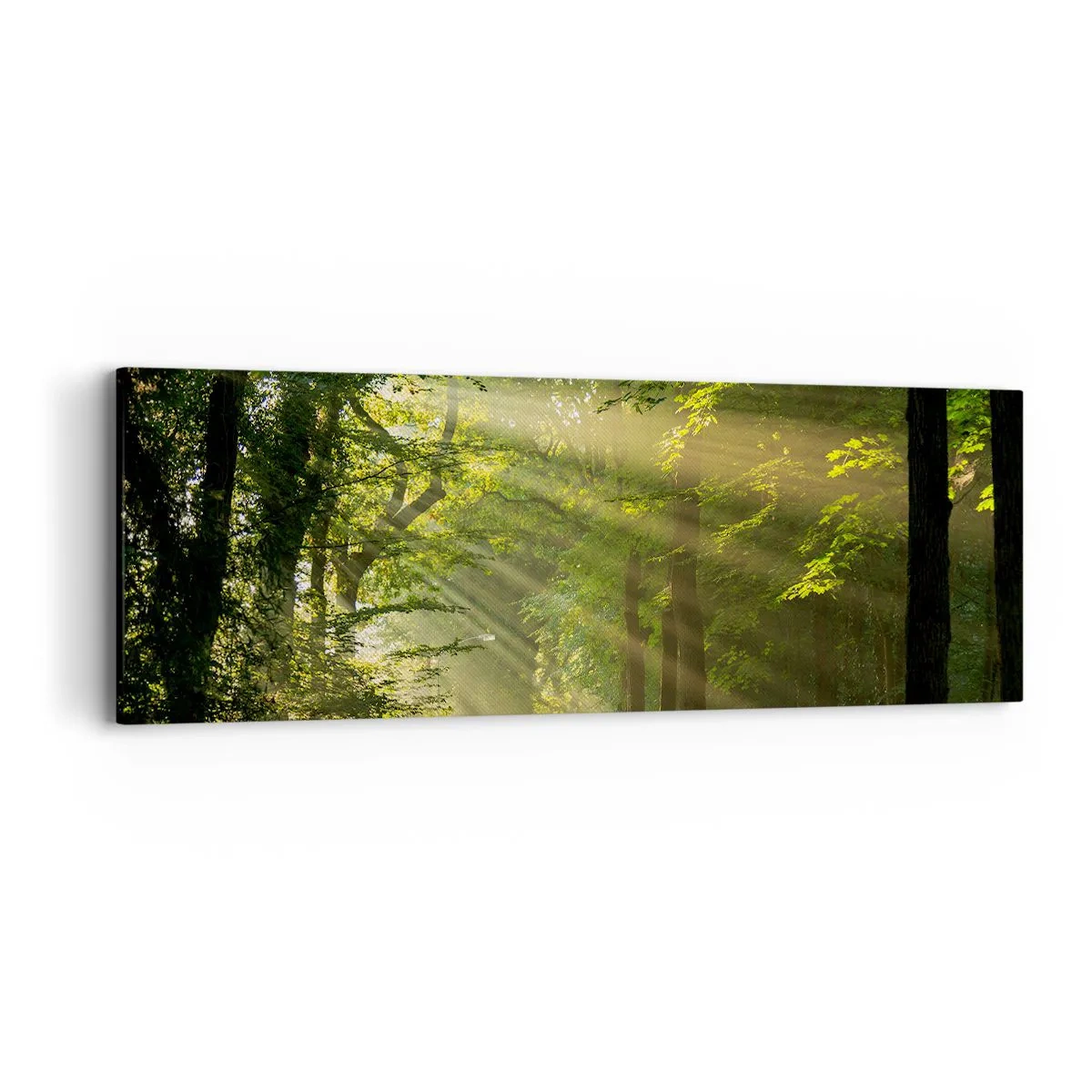 Schilderen op canvas - Bosmoment - 90x30 cm
