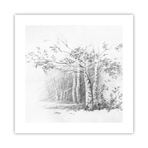 Poster - Het licht van het berkenbos - 40x40 cm