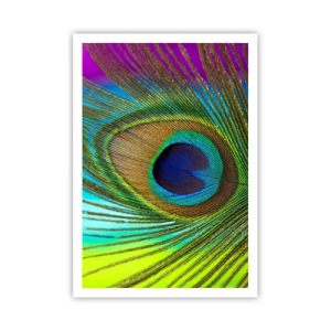 Poster - Oog in oog - 70x100 cm