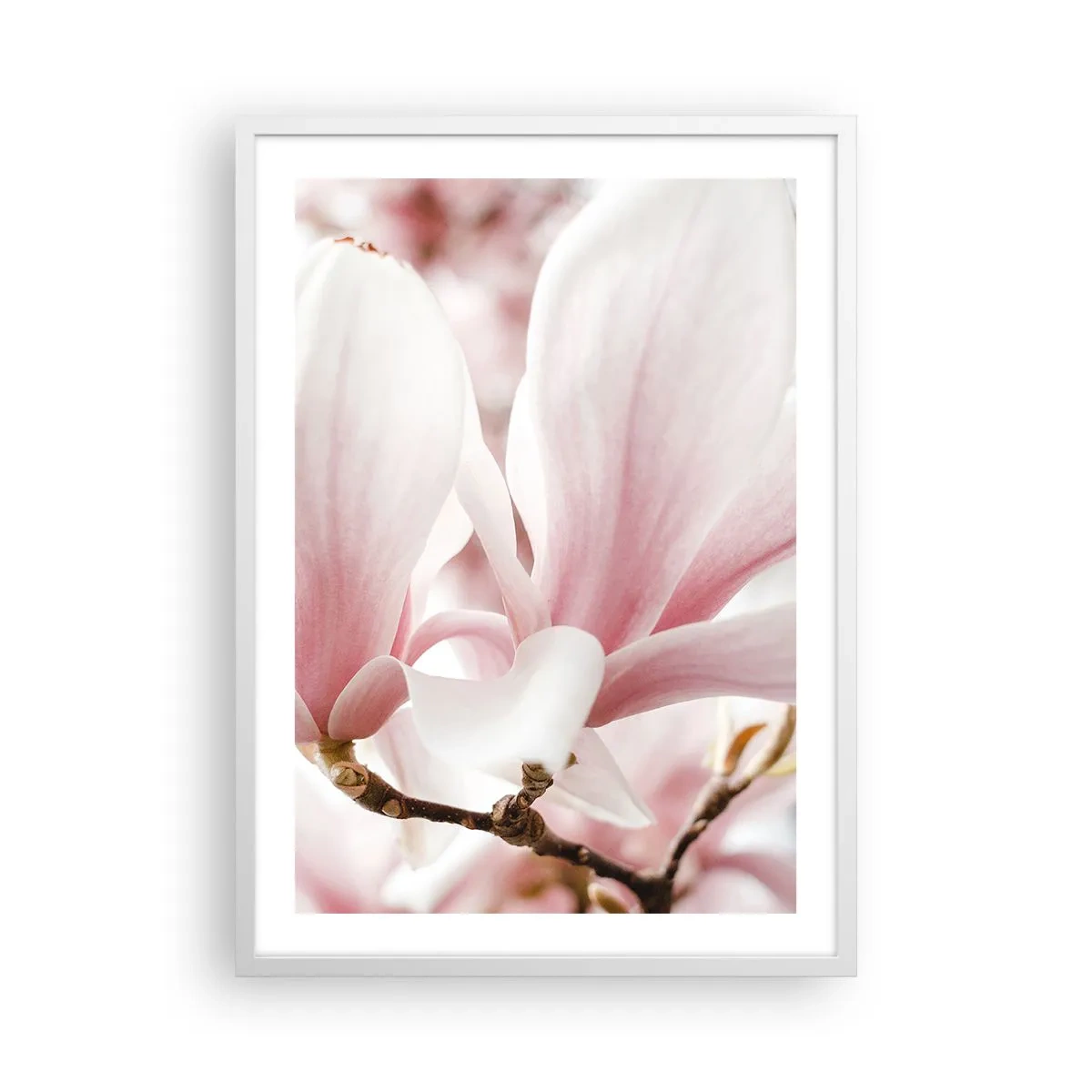 Poster in een witte lijst - Een overvloed aan tederheid - 50x70 cm