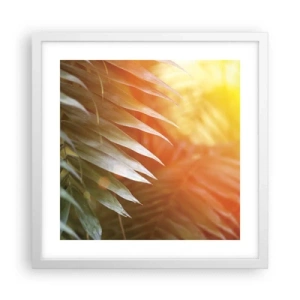 Poster in een witte lijst - Ochtend in de jungle - 40x40 cm