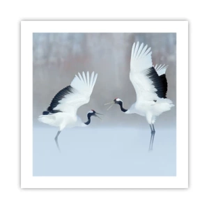 Poster - Dans in de mist - 50x50 cm