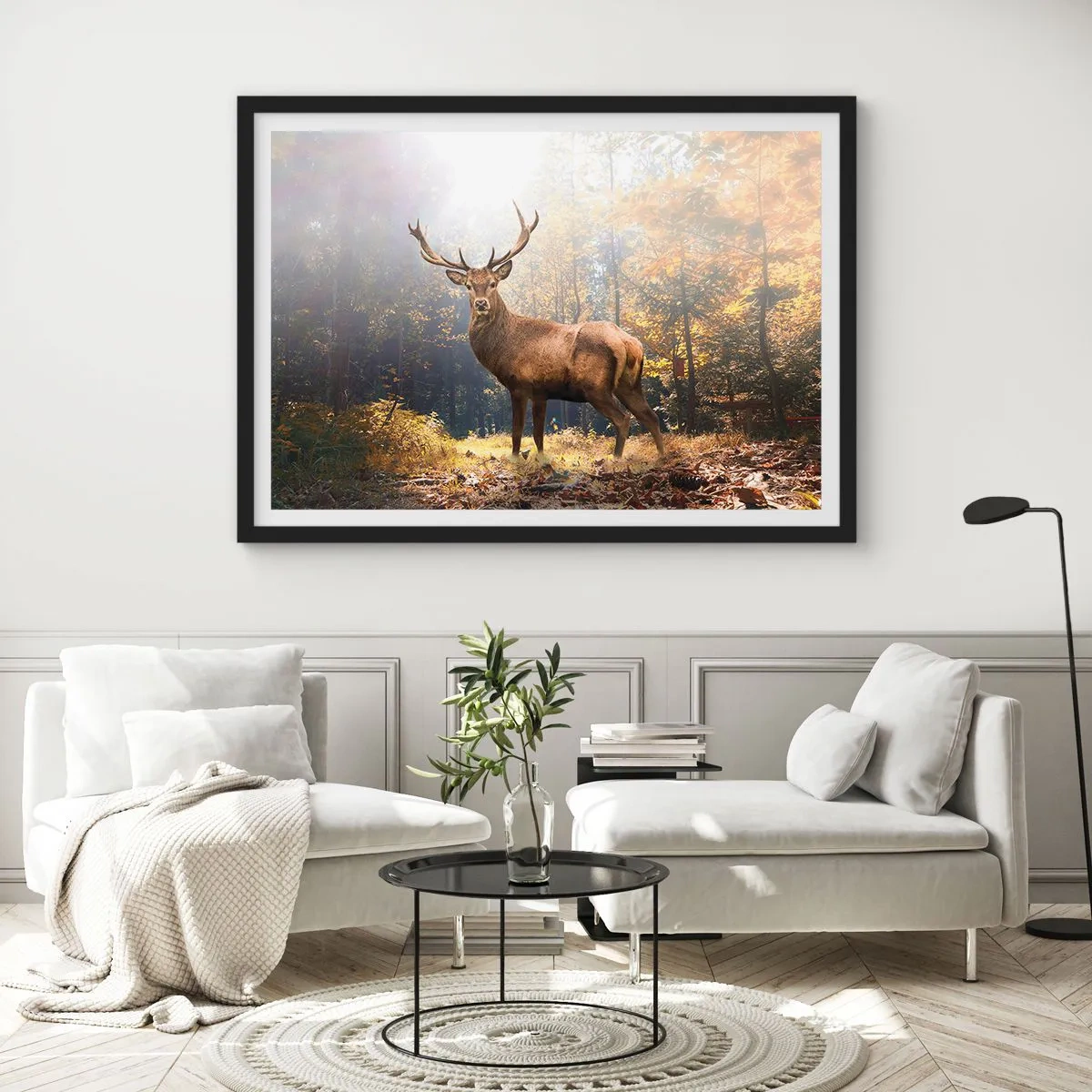 Poster in een zwarte lijst - In volle majesteit - 100x70 cm