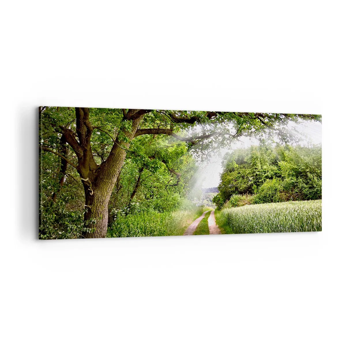 Schilderen op canvas - Et in Arcadia ego - 100x40 cm