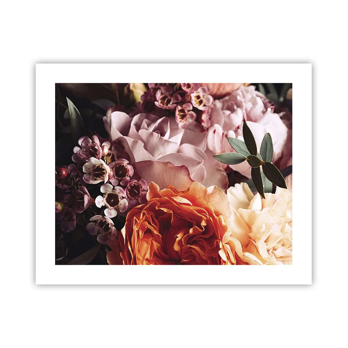 Poster - Gehuld in schoonheid - 50x40 cm