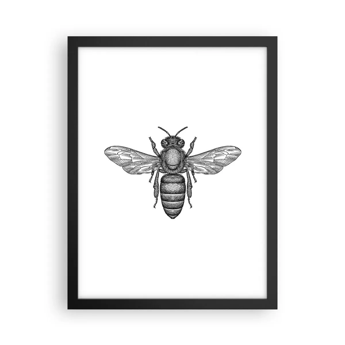 Poster in een zwarte lijst - Insectenportret - 30x40 cm