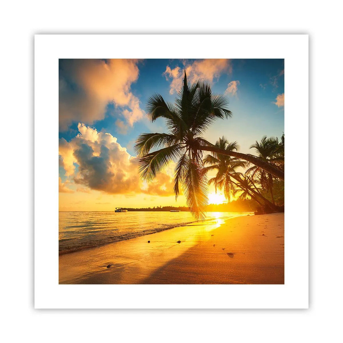 Poster - Caribische droom - 40x40 cm