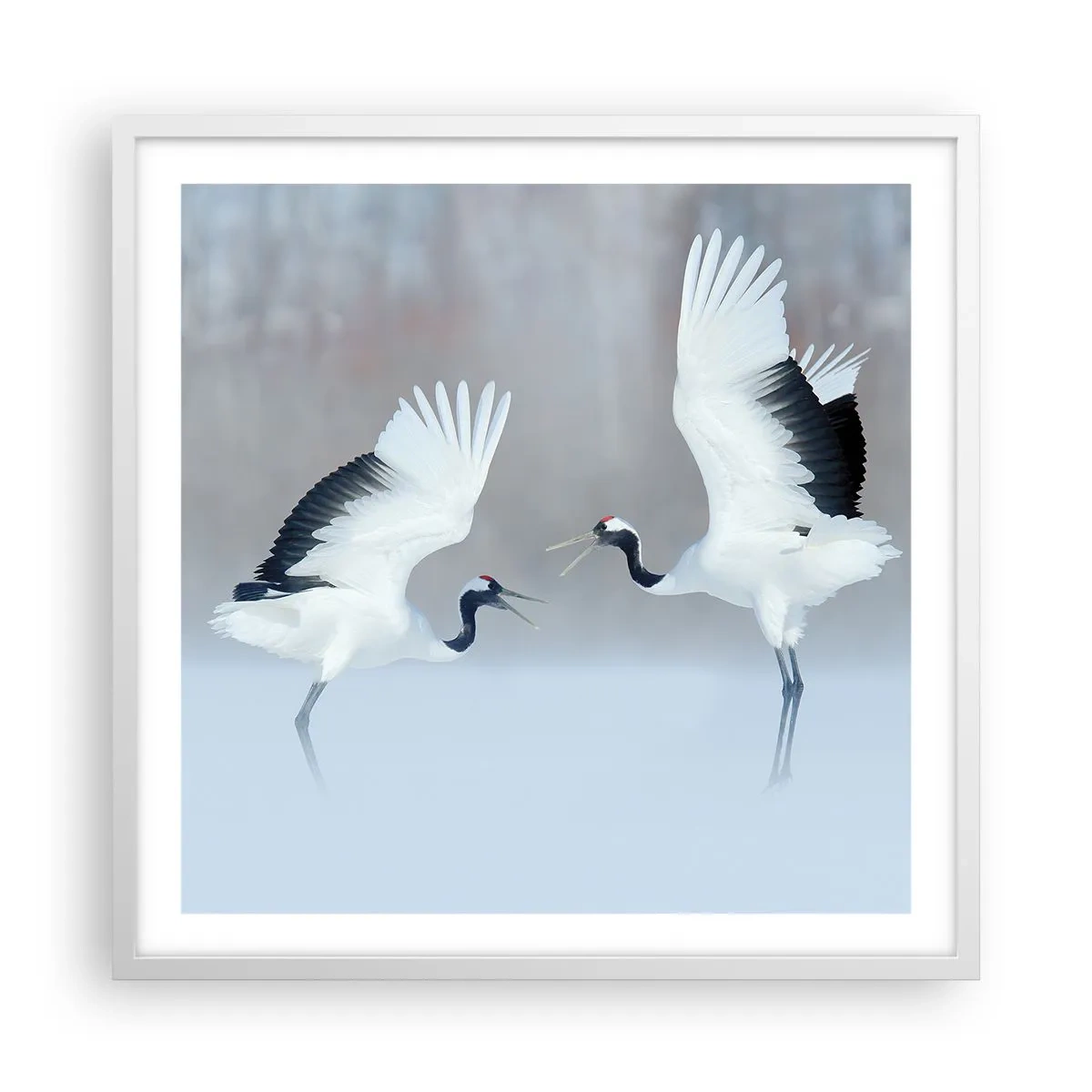 Poster in een witte lijst - Dans in de mist - 60x60 cm