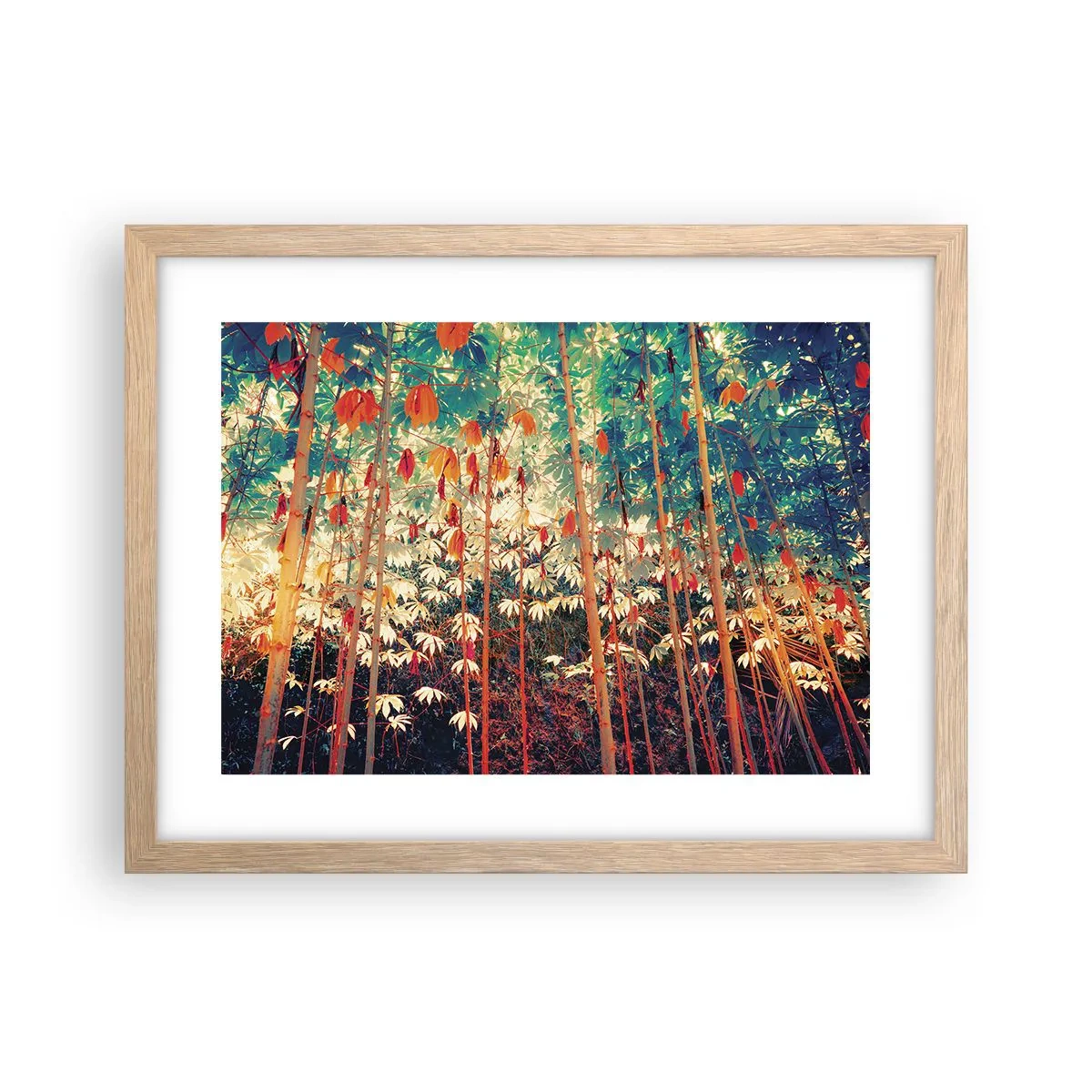 Een poster in een licht eiken lijst - Het geheime leven van de bladeren - 40x30 cm