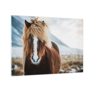 Schilderen op glas - Een paard tegen een berglandschap in de winter - 70x50cm - Voel jij je vrij? - Moderne wanddecoratie voor woonkamer en slaapkamer ARTTOR