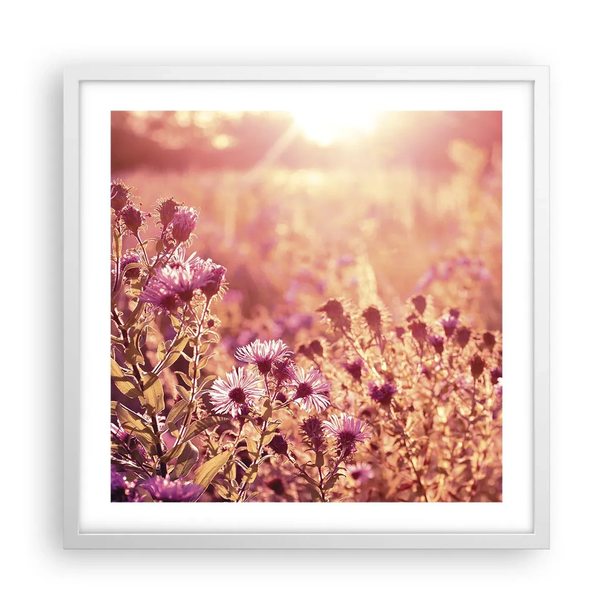 Poster in een witte lijst - Voordat de zomer voorbij is - 50x50 cm