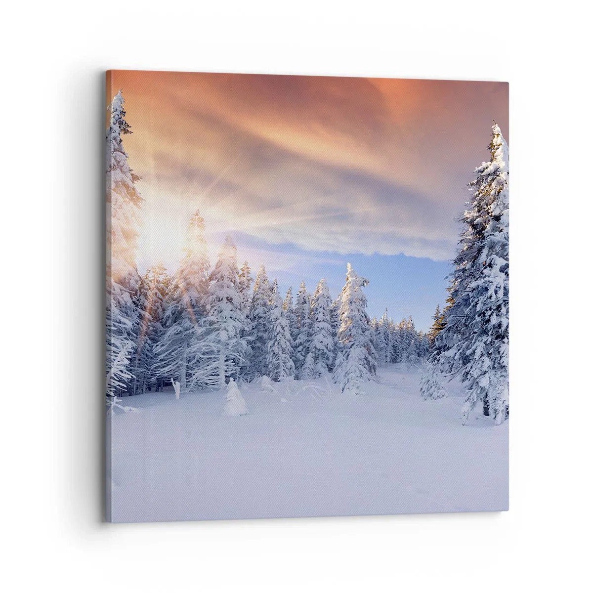 Schilderen op canvas - Het sneeuwspektakel van de natuur - 70x70 cm