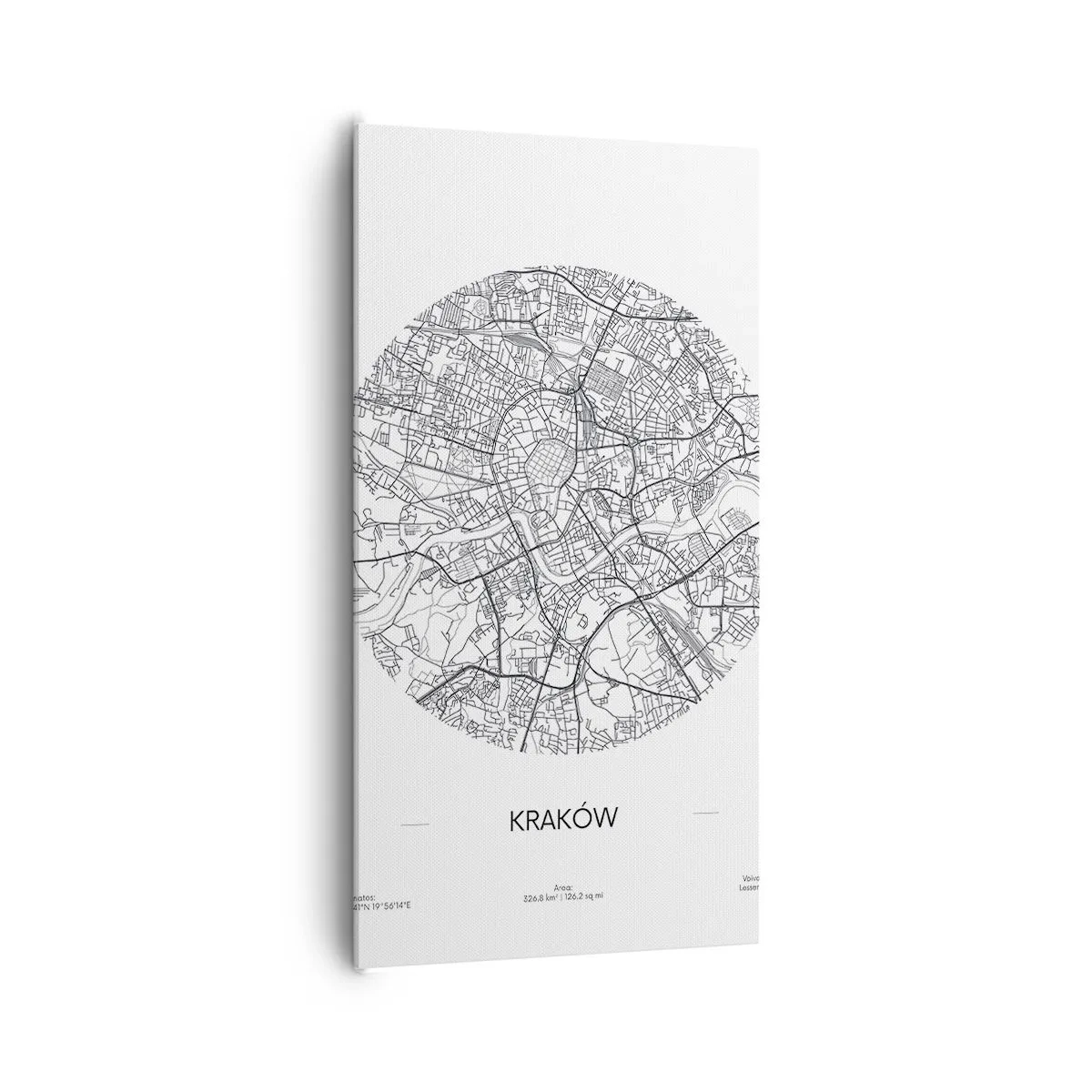 Schilderen op canvas - Anatomie van Krakau - 65x120 cm