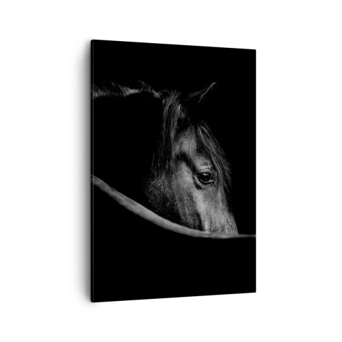 Schilderen op canvas - Zwarte Prins - 50x70 cm