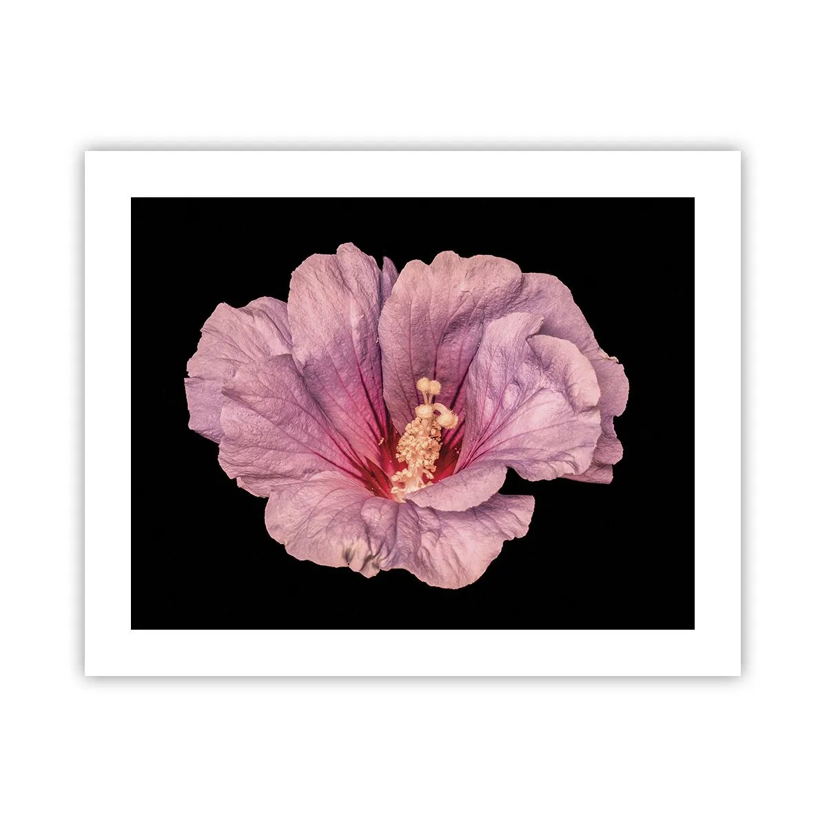 Poster - Recht in het hart - 50x40 cm