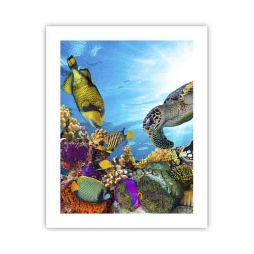 Poster - Koraalpromenade - 40x50 cm