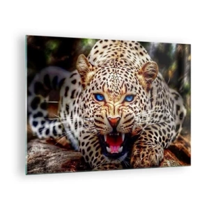 Schilderen op glas - Een woeste blauwogige luipaard in het wild - 70x50cm - Boosheid schaadt de schoonheid niet - Moderne wanddecoratie voor woonkamer en slaapkamer ARTTOR