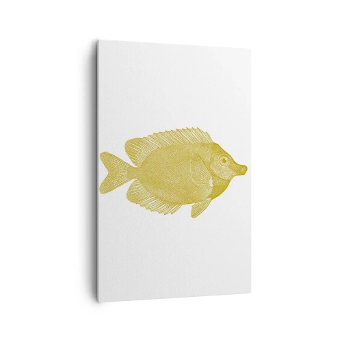 Schilderen op canvas - Vis en dat is het - 80x120 cm