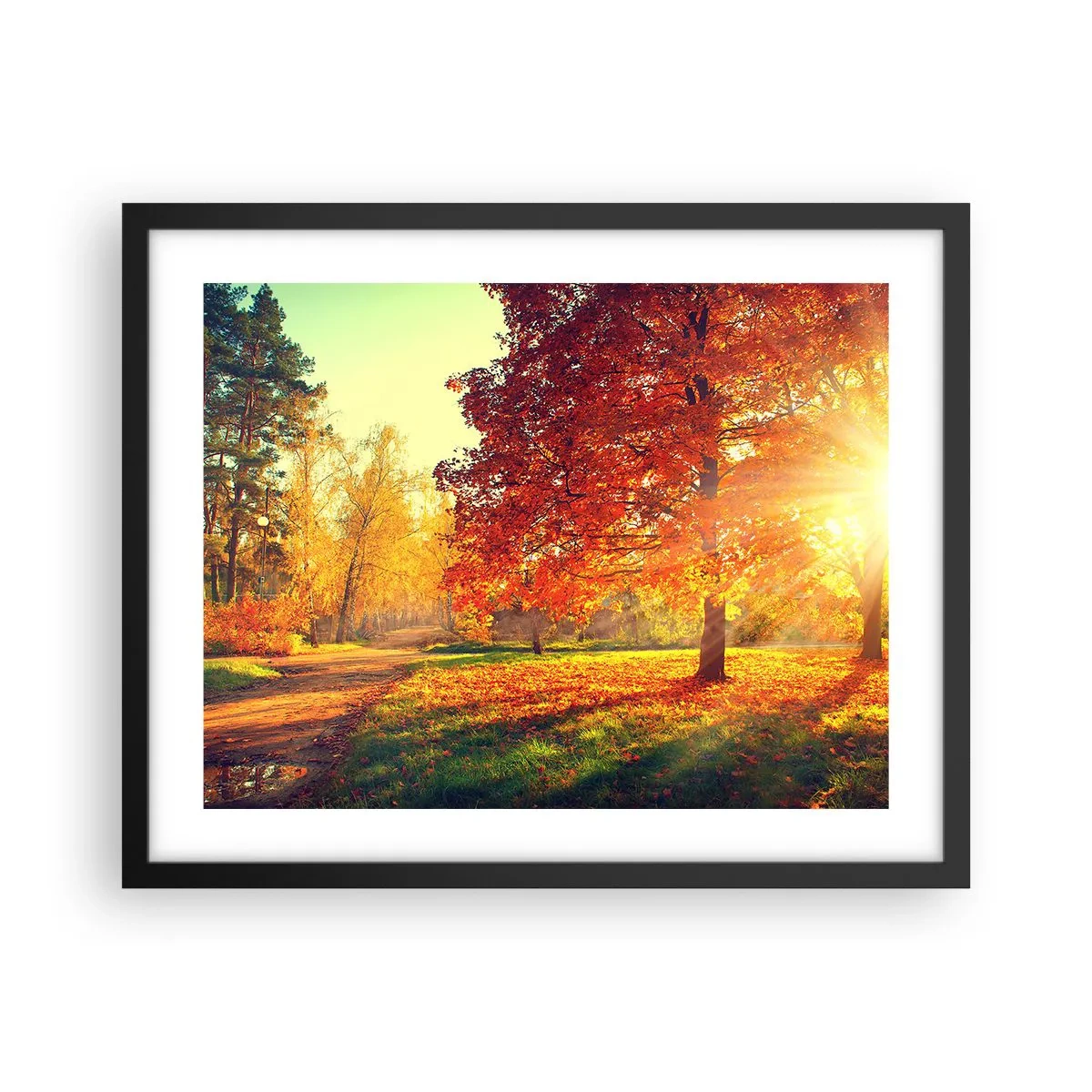 Poster in een zwarte lijst - Rood is mooi - 50x40 cm