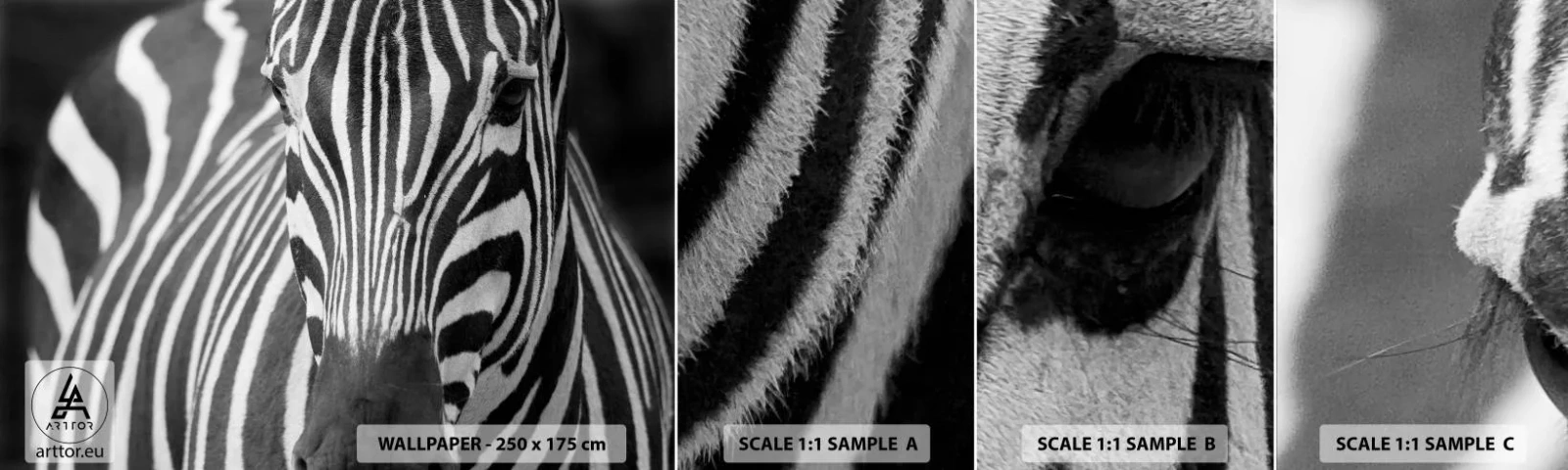 Fotobehang Staaltje Standard Eco - De wereld is zwart-wit - Dieren, Ribben, Zwart en wit - 100x30 cm