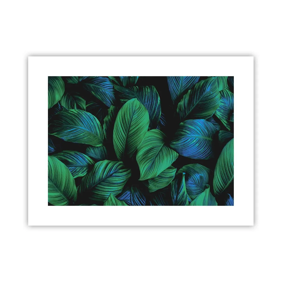 Poster - In de groene menigte - 40x30 cm