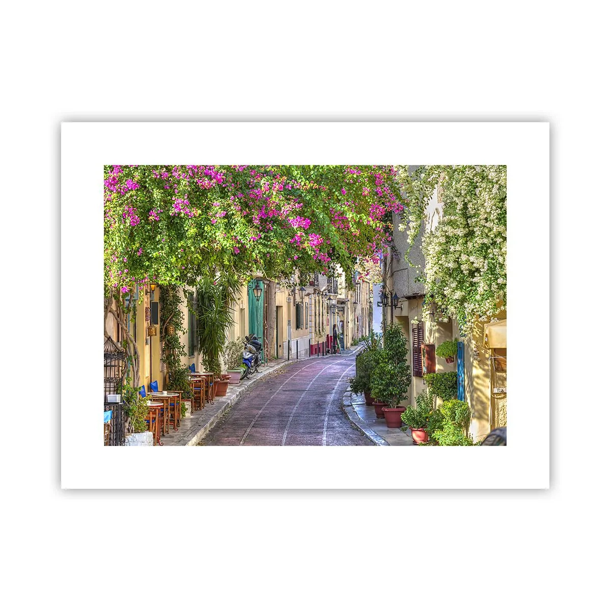 Poster - Bloeiende steeg - 40x30 cm