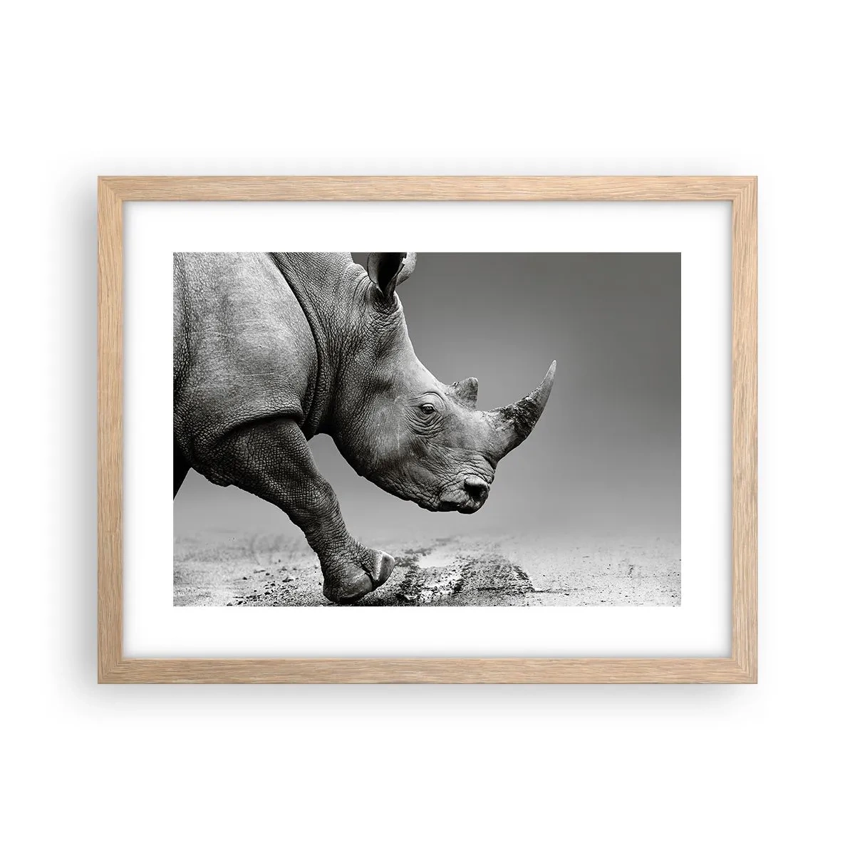 Een poster in een licht eiken lijst - Onstuitbare kracht - 40x30 cm