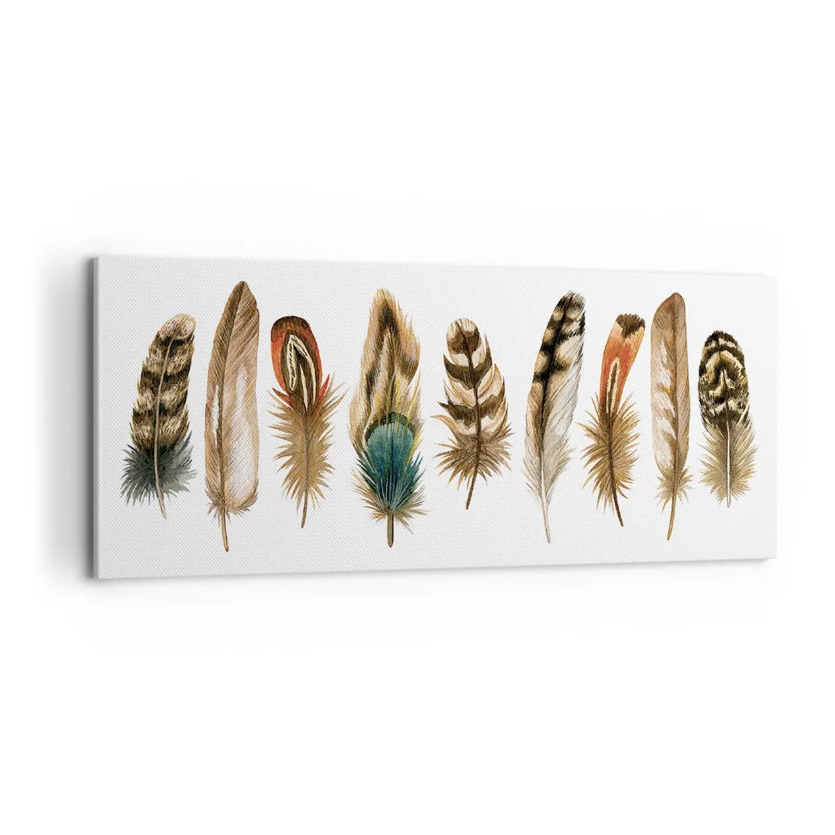 Schilderen op canvas - Een gevederde variatie - 100x40 cm