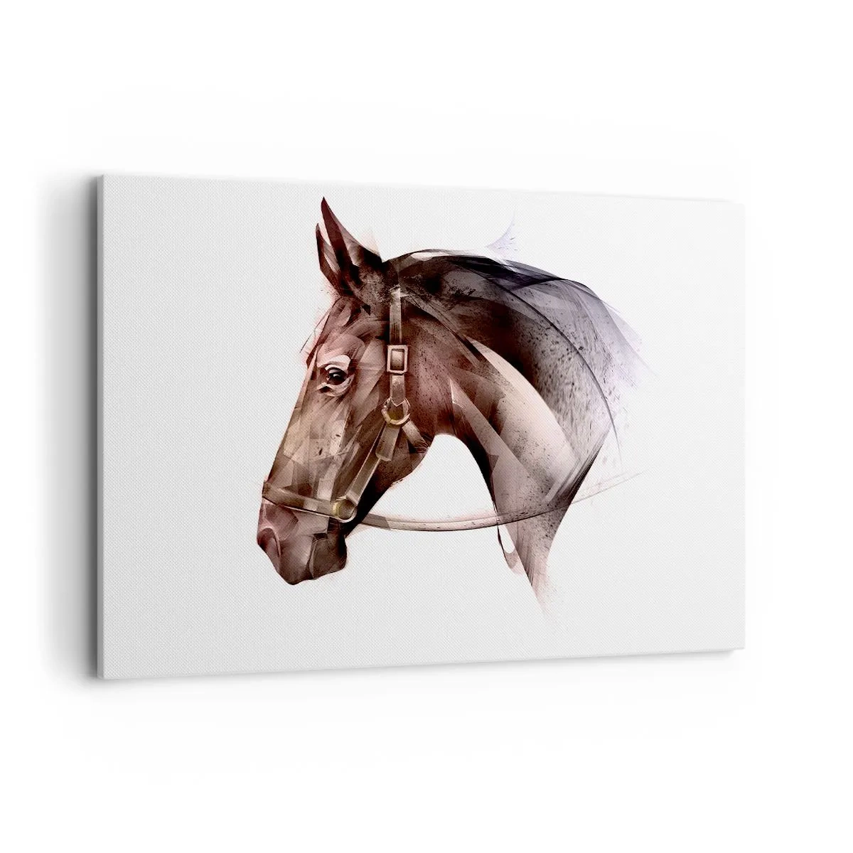 Schilderen op canvas - Wat een charme - 120x80 cm