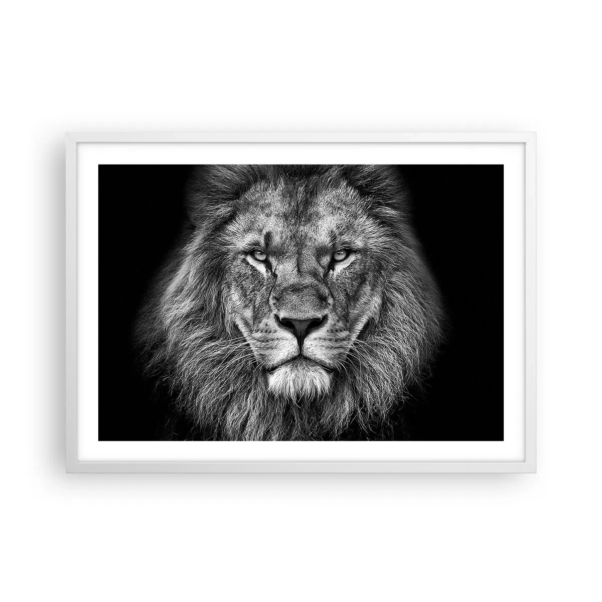 Poster in een witte lijst - In een kroningskleed - 70x50 cm