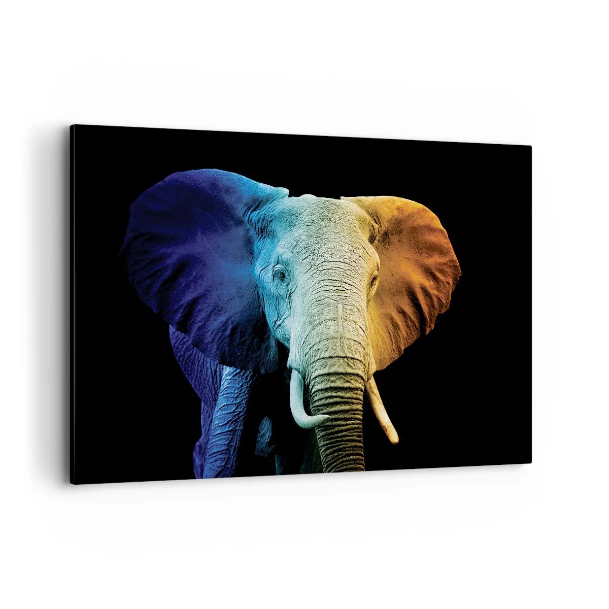 Schilderen op canvas - Excentriek, niet raar - 100x70 cm