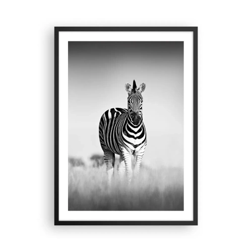 Poster in een zwarte lijst - Een zebra in een zwart-witcompositie op de savanne - 50x70cm - Toch is de wereld zwart-wit - Moderne wanddecoratie voor woonkamer en slaapkamer ARTTOR