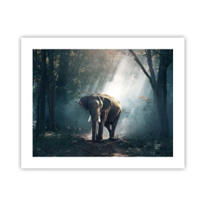 Poster - Een ontspannen wandeling - 50x40 cm