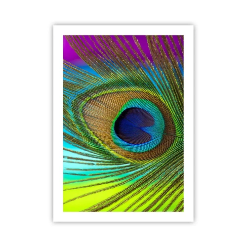 Poster - Oog in oog - 50x70 cm