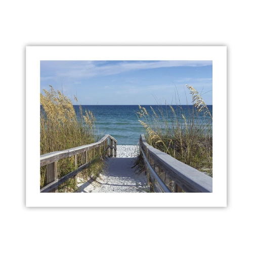 Poster - In de zon, in de wind - 50x40 cm