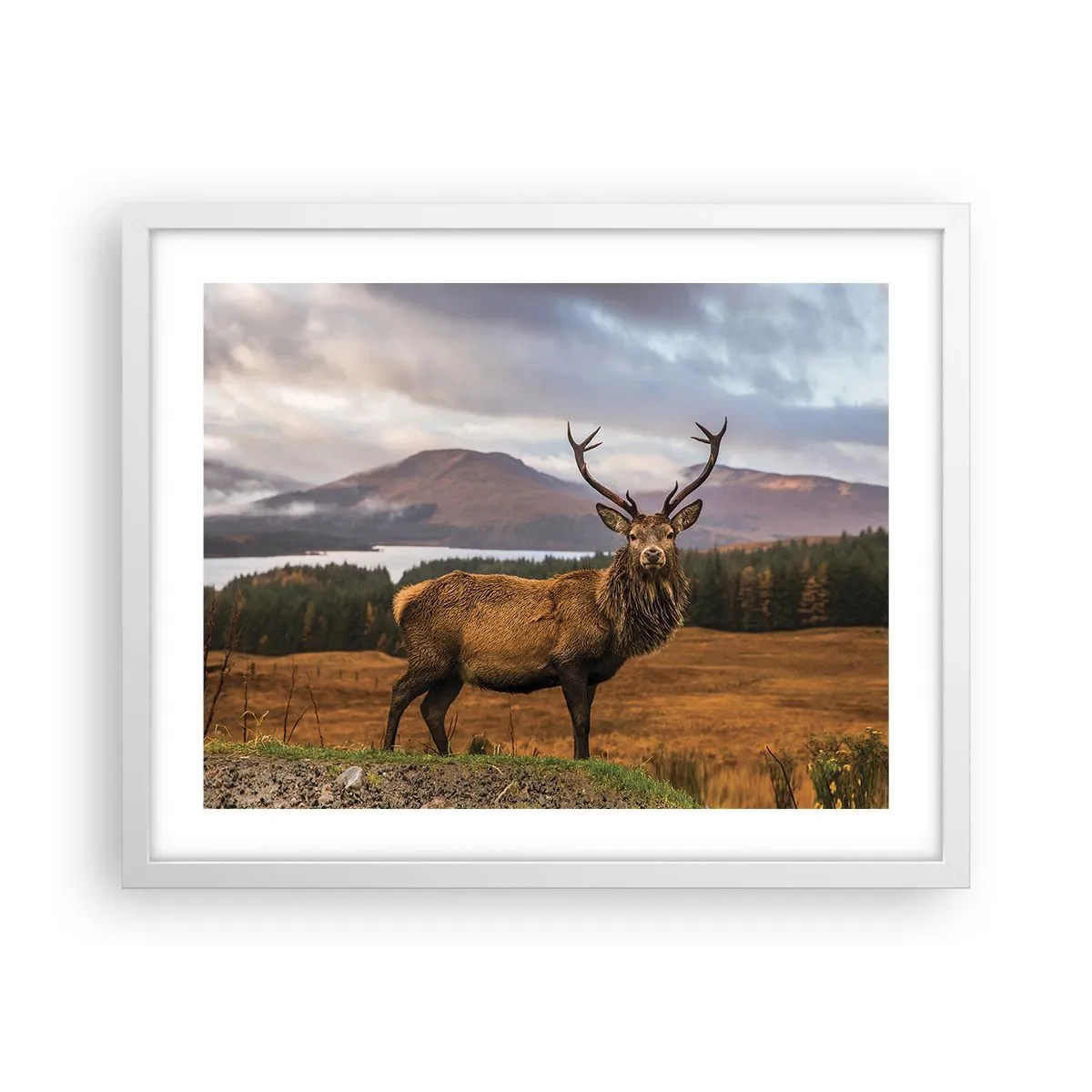 Poster in een witte lijst - De majesteit van de natuur - 50x40 cm